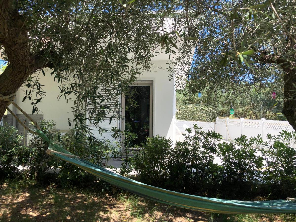 La Casetta Tra Sassi E Ulivi B&B Matera Exterior foto